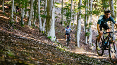 Mountainbike-Eldorado Ascona-Locarno